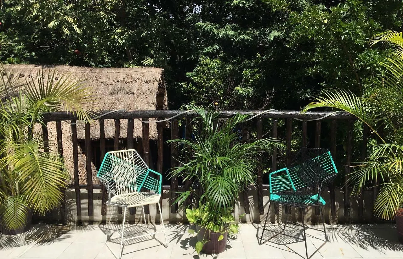 Hostal Cha Cha Cha Tulum Pueblo 0*,